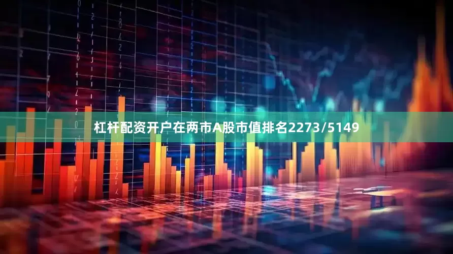 杠杆配资开户在两市A股市值排名2273/5149