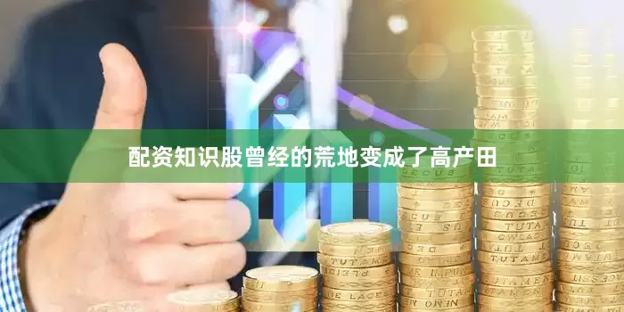 配资知识股曾经的荒地变成了高产田